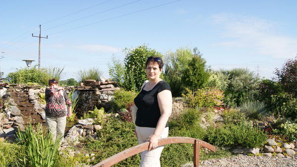 Татьяна Голикова