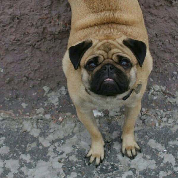 Ирина Сергеева