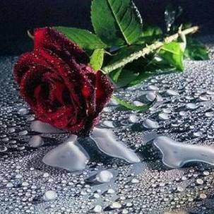 Маслова Виктория