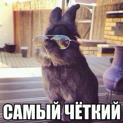 Данил Данилов