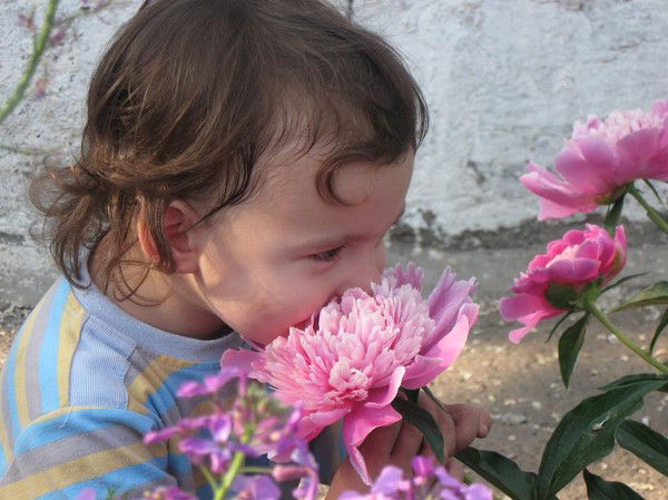 Анна Богословская