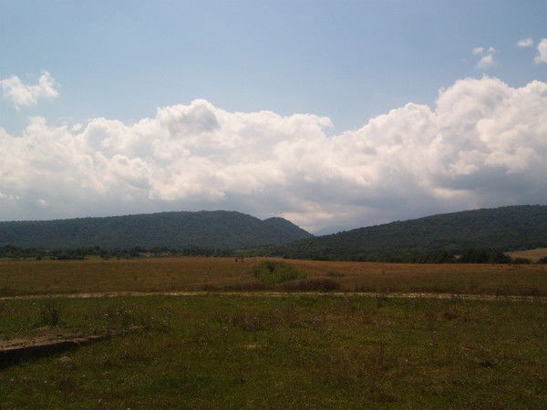 Борис Зангионов