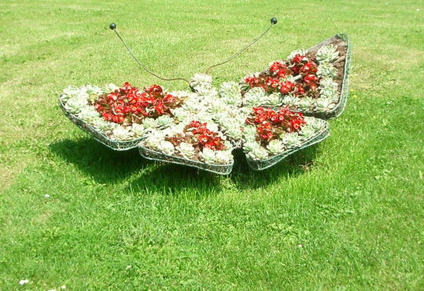 Елена Мисникова