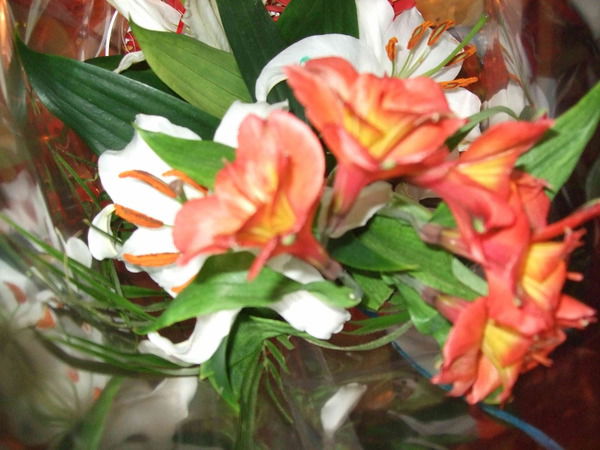 Оксана Корсак