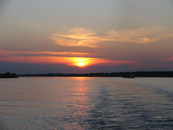 Николай Нестеров