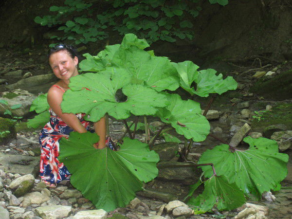 Князева Ксения