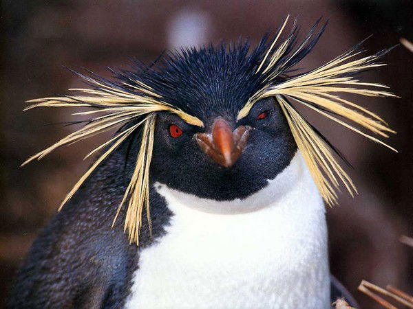 Ярослав Жуков