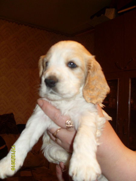 Слава Шишков