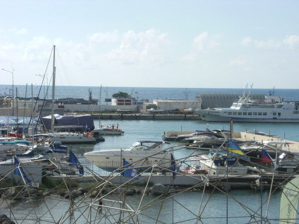 Наталья Левченко