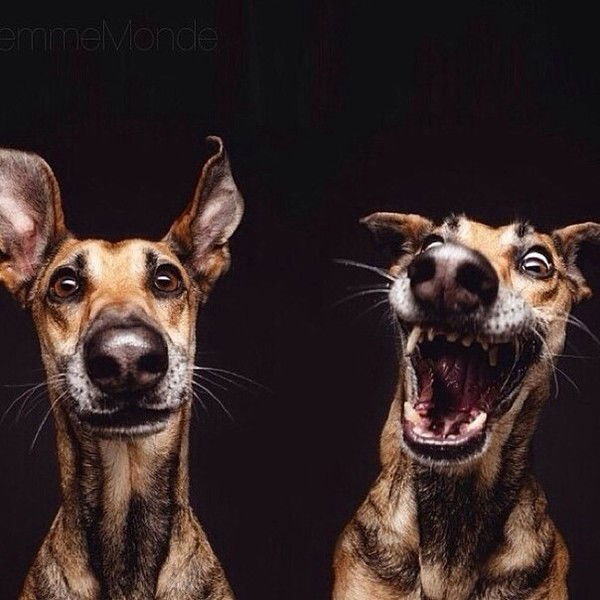 Галина Мазина