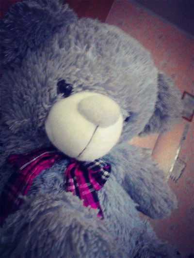 Ксения Ефимова