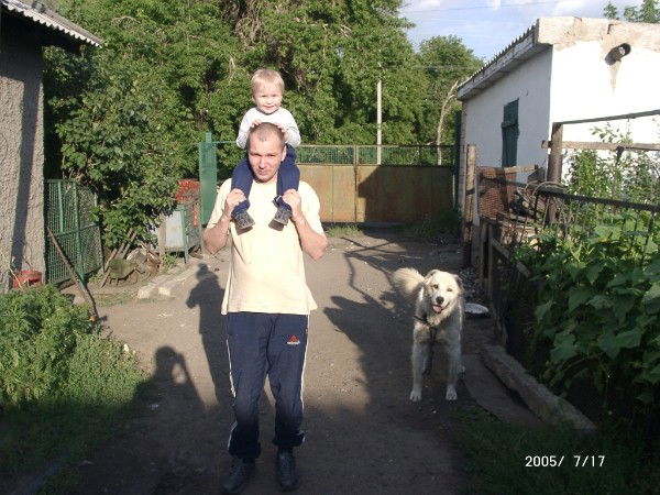 Ян Зиганшин