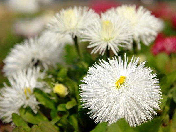 Майра Турганбаева