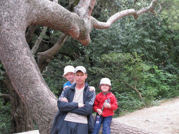 Алексей Григорьев