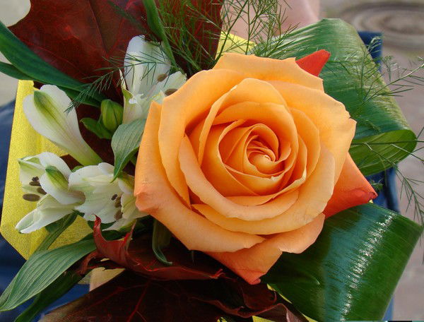 Марина Талашманова