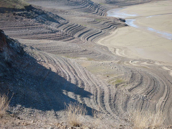 Илья Тарабрин