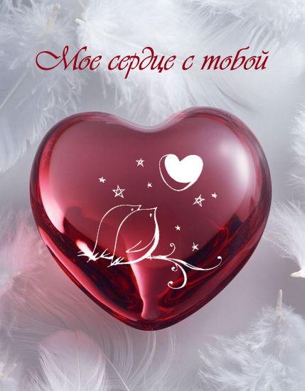 Фарид Рахимбеков