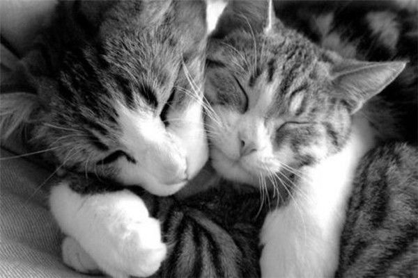 Александра Топорова