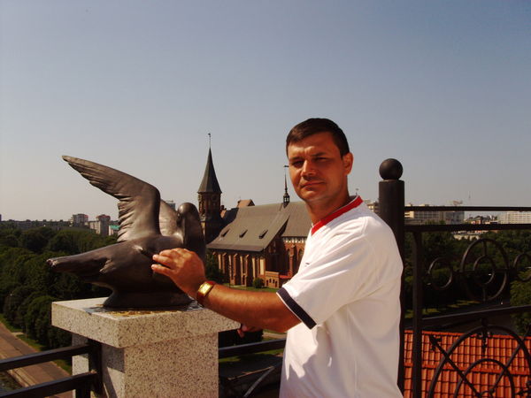 Алексей Горелов