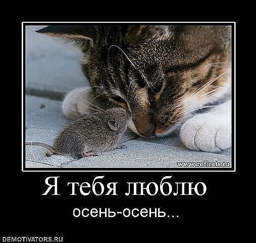 Олеся Олеся