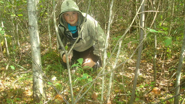 Лёша Кашицкий