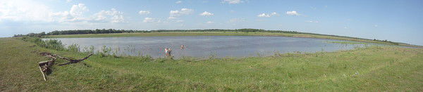 Мария Щитова