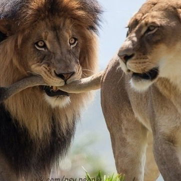 Татьяна Борискина