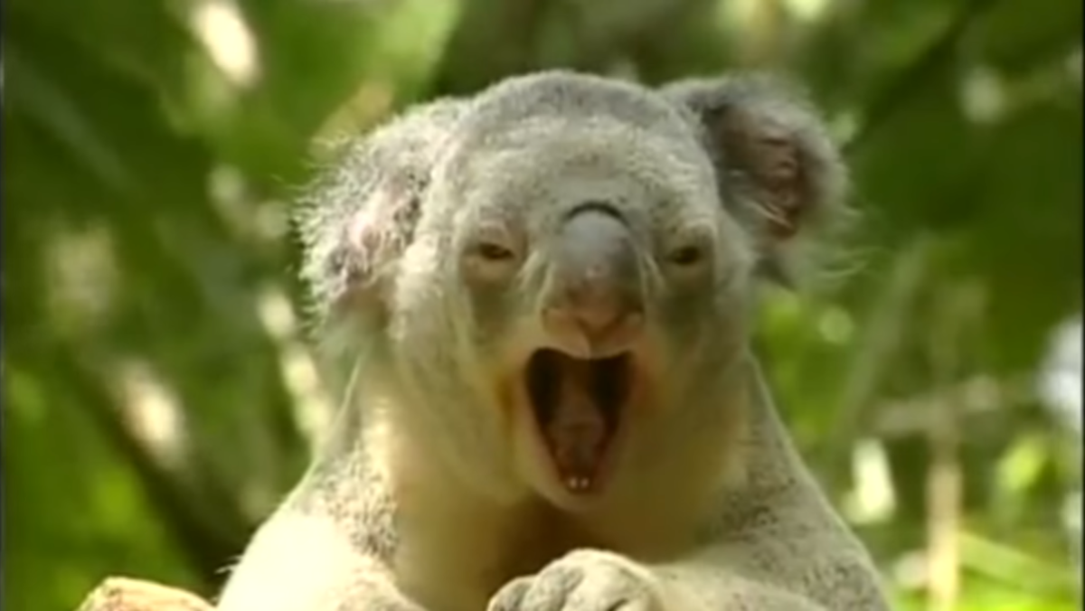 Эрнест Смагулов