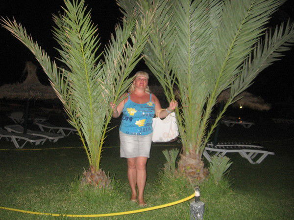 Светлана Метелина