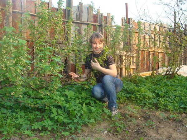 Дмитрий Кузнецов