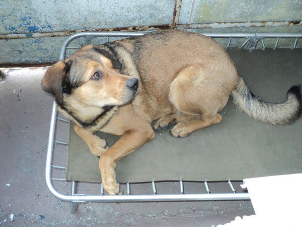 Дмитрий Бердов