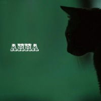 Роман Пигура