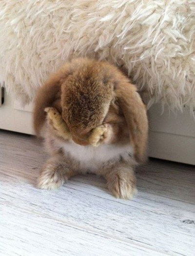 Елизавета Плачинда