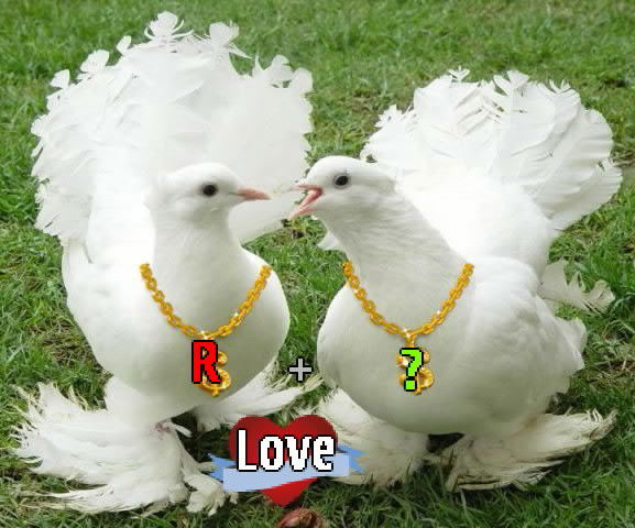 ***r@kim@_W*** ***j@nm Sol***