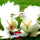 ***r@kim@_W*** ***j@nm Sol***
