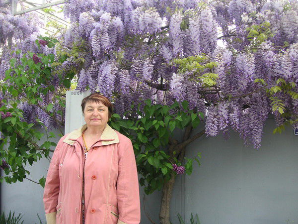 Ольга Логинова