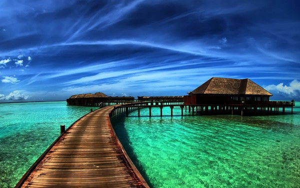 Никита Киселёв