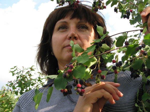 Светлана Аманадчикова