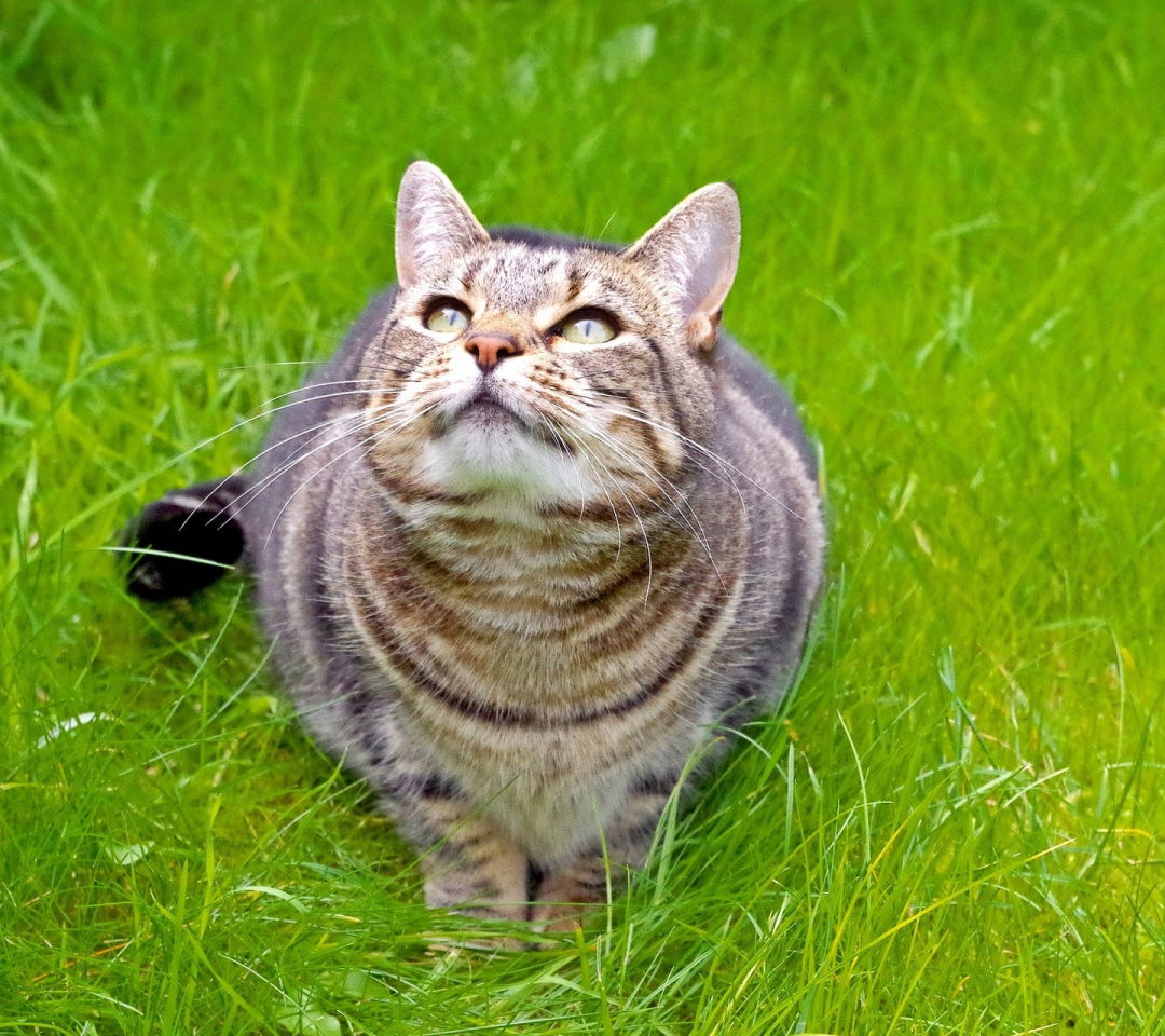 Евгений Волохань