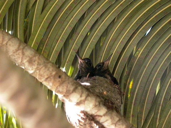 Сергей Кравченко