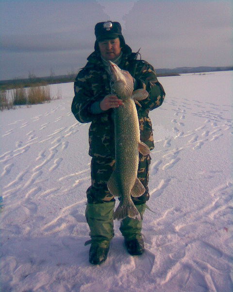 Александр Горлов