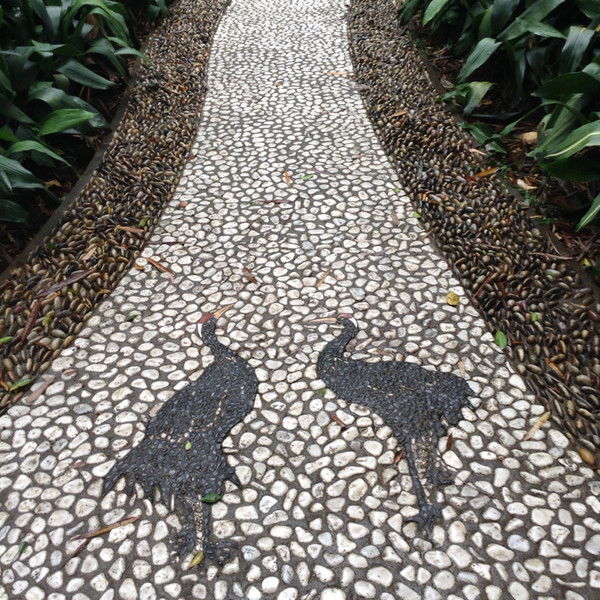 Ирина Пыхтина