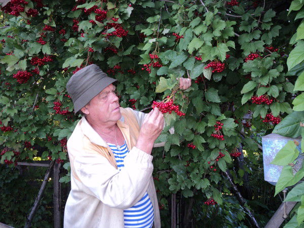 Леонид Лесников