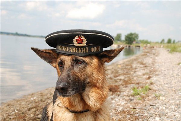 Санёк 500Т 100К За Бой