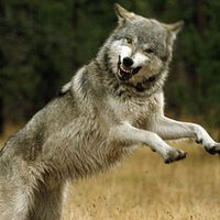 Инга Игоревна