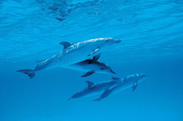 Таня Худяева