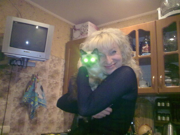 Кошка Рыжая