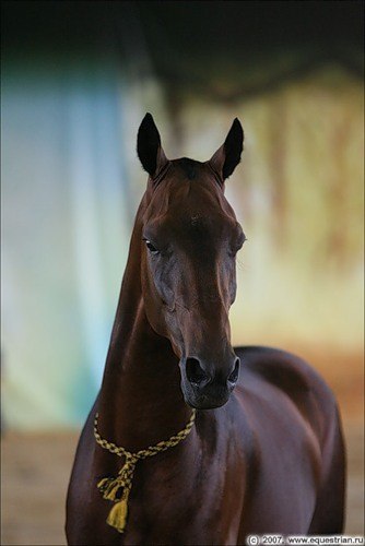 Татьяна Буря