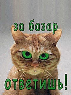 Валера Романенко (A.l.)