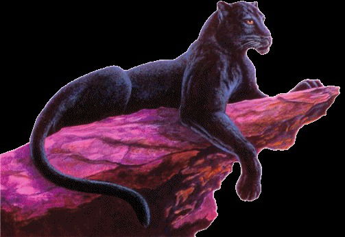 Светлана Белоусова